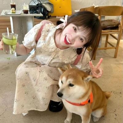 青春的答案